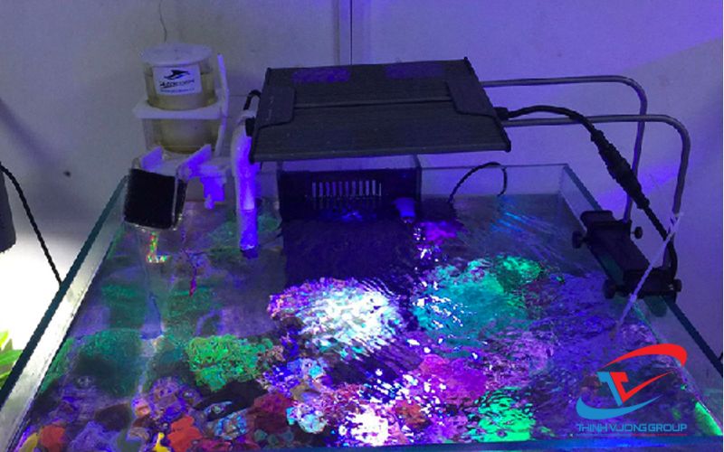 cách chọn mua máy chiller cho hồ tép