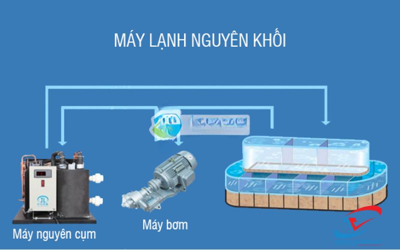 máy làm lạnh nguyên khối