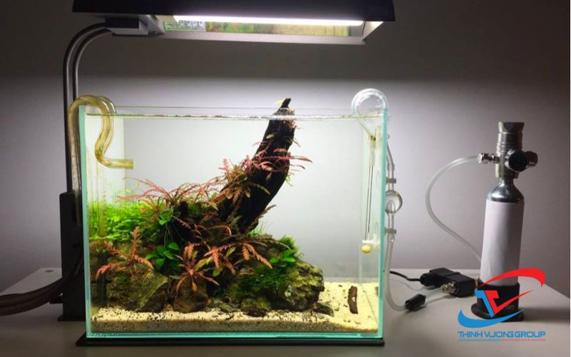 máy làm lạnh bể cá cảnh