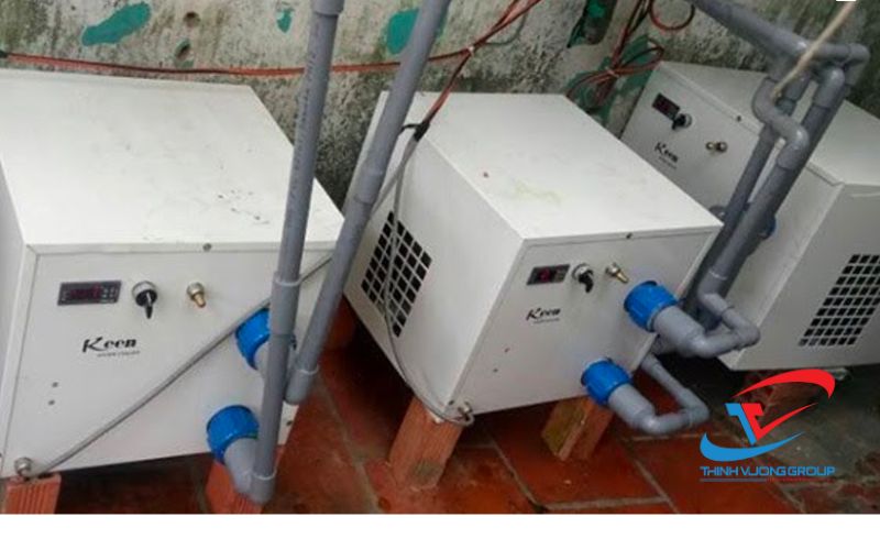 lợi ích của việc lắp đặt máy làm lạnh bể cá