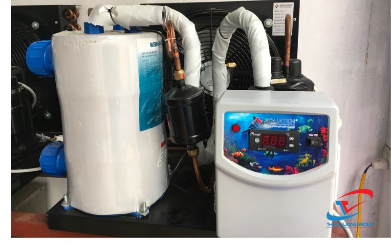 thịnh vượng nhận lắp máy làm lạnh bể cá hải sản